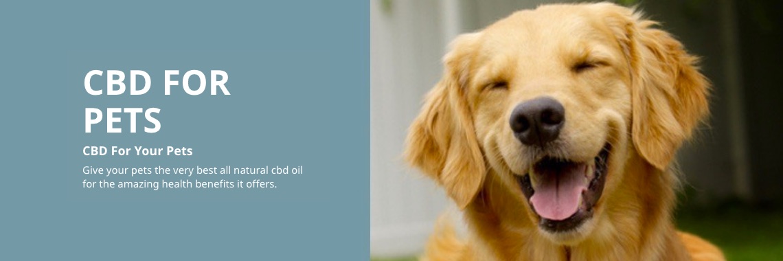 CBD Oil For Pets